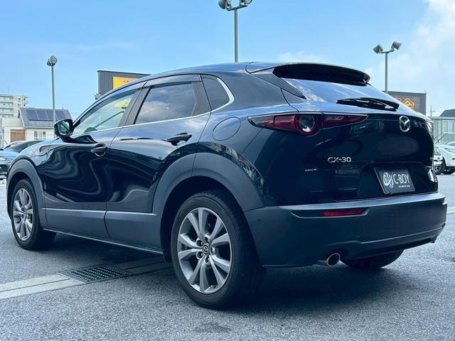 ＣＸ－３０