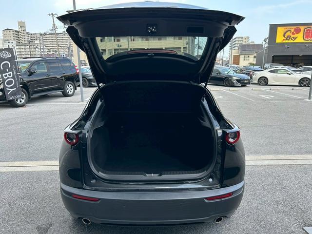 ＣＸ－３０