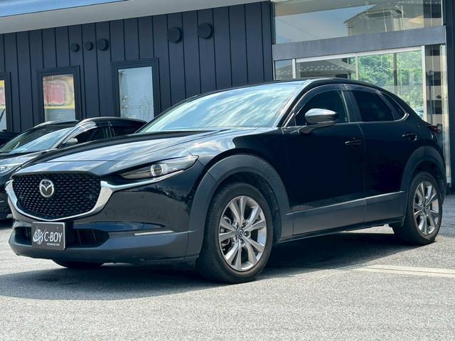 ＣＸ－３０