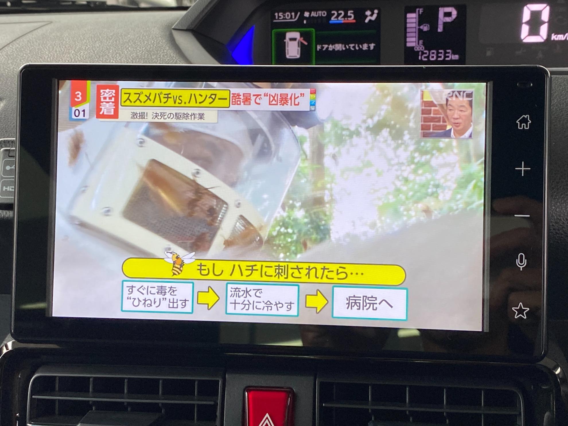 タント