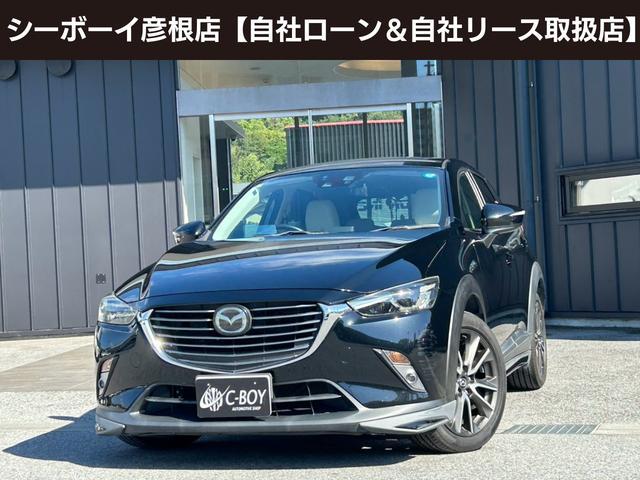 ＣＸ－３