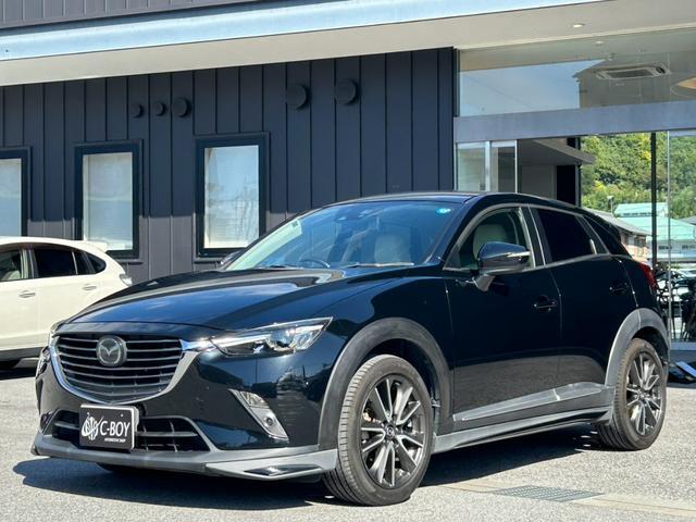 ＣＸ－３