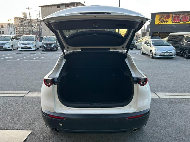 ＣＸ－３０