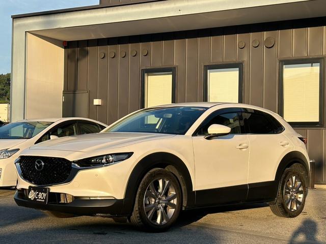 ＣＸ－３０