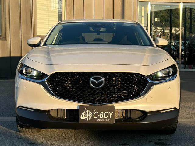 ＣＸ－３０