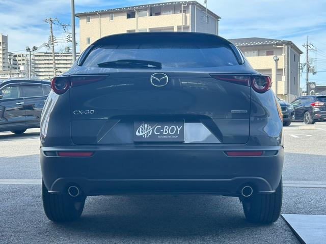 ＣＸ－３０