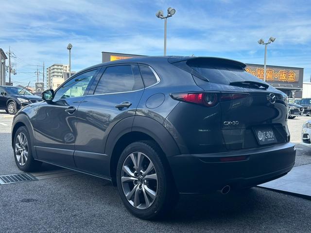 ＣＸ－３０