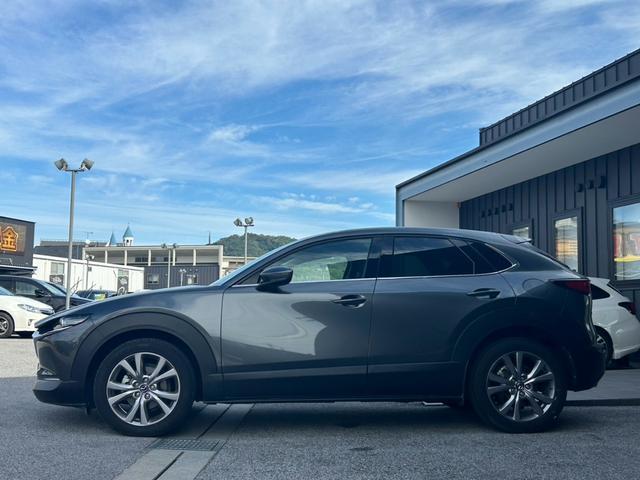 ＣＸ－３０