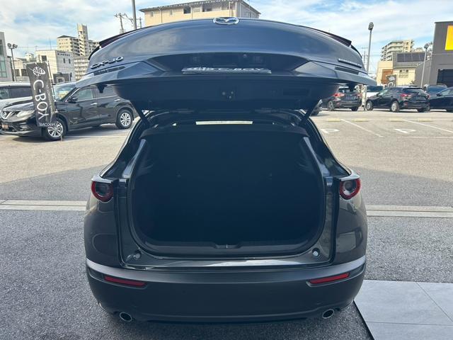 ＣＸ－３０