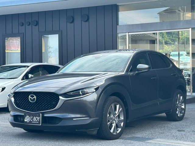 ＣＸ－３０