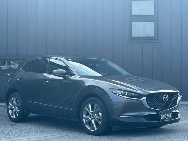 ＣＸ－３０