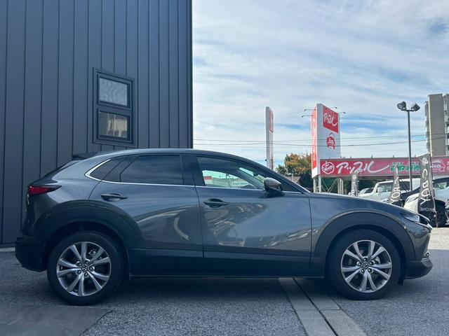 ＣＸ－３０